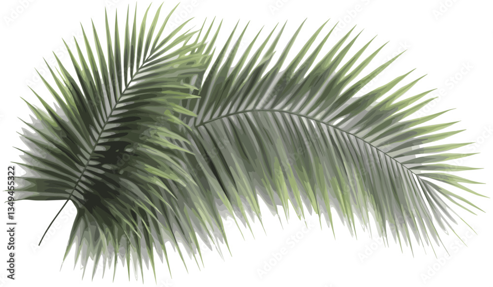 Obraz premium Palm leaves tropics vector cutout realistic shade illustrations png, tropical plants, exotic foliage, nature background, transparent leaves, summer vibes, palm tree silhouette