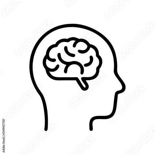 brain