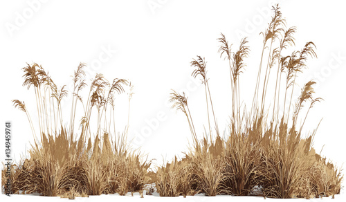 Savanna dried grass field vector, cutout illustration, PNG, nature background, dry grass, savanna landscape, African grasslands, desert background, grass texture, environmental design