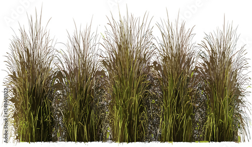 Savanna grass field row PNG, transparent background, vector, savanna landscape, wild nature, grass texture, safari, grassy field, natural scenery, eco-friendly, outdoor design.