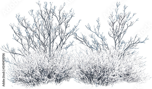 Snowy bush shrub vector isolated on transparent PNG, frozen plants, frigid nature, winter landscape, snow-covered shrubs, cold weather, nature wallpaper, frost-covered bush