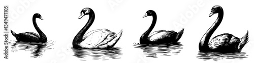 Elegant swans gliding on the water during a serene afternoon in a tranquil lake setting