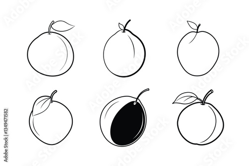 Sapodilla – Manilkara zapota line art vector illustration