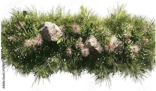 Vector blooming flowery grassland, top view, meadow flowers, wildflower field, green pasture, spring floral pattern, nature background, seamless botanical texture, summer landscape