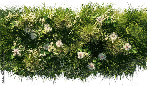 Vector flowery grassy meadow top view group on transparent backgrounds png, spring field, green grass, wildflowers, floral nature, botanical pattern, blooming plants, seamless texture