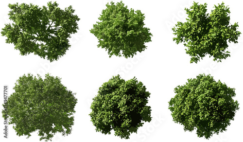 Greenery trees top view vector, transparent PNG background, foliage collection, park tree set, landscape elements, aerial tree icons, forest map design, nature clipart, garden trees