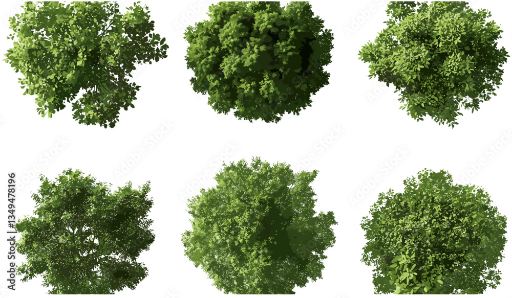 Top view trees vector, transparent background PNG, greenery foliage set, park tree icons, aerial landscape elements, forest clipart, garden tree collection, nature symbols, city planning