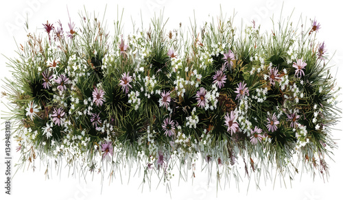 Blossoming ornamental flowery grassland top view scenery, vibrant nature, spring flowers, lush greenery, meadow, blooming, colorful plants, peaceful landscape, outdoor beauty