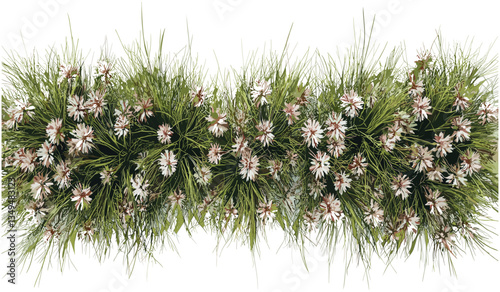 Ornamental blooming flowery grassland top view, lush meadow, colorful spring flowers, vibrant scenery, peaceful nature, green grass, summer garden, tranquil landscape