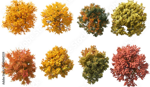 Vibrant autumn trees, topview PNG, transparent background, colorful fall leaves, seasonal forest, nature illustration, foliage set, autumn forest, bright autumn colors.