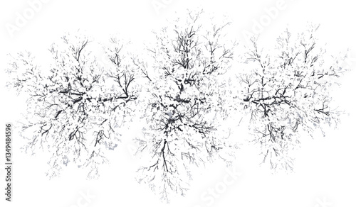 Snowy tree vector, top view seasonal cut out, white tree illustration, transparent background, winter png, snow-covered branches, winter season, nature tree, seasonal art