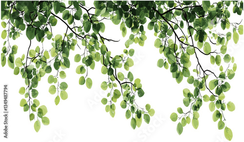 Tree branches top view, leaves composition on transparent backgrounds, PNG leaves, transparent tree branches, nature elements, green leaf PNG, foliage isolated, environmental design