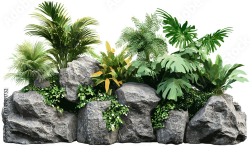 Tropics gardening design with green plants, nature rock, transparent PNG background, lush tropical foliage, gardening decor, nature-inspired, botanical plants, vibrant greenery