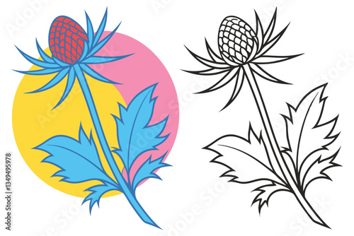 A vibrant illustration featuring a stylized thistle flower in both color and line art versions against a simple background