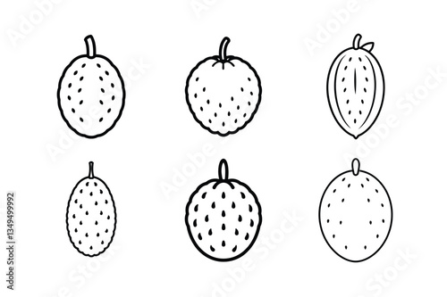 Soursop – Annona muricata line art vector illustration