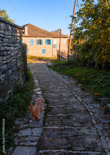 Fototapeta Naklejka Na Ścianę i Meble -  The streets of the tourist village of Monodendri in the mountains of Epirus in Greece