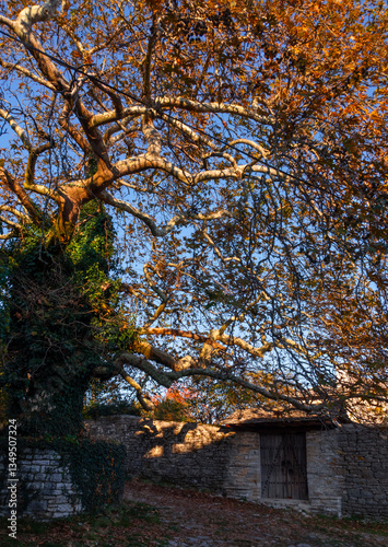 Fototapeta Naklejka Na Ścianę i Meble -  The streets of the tourist village of Monodendri in the mountains of Epirus in Greece