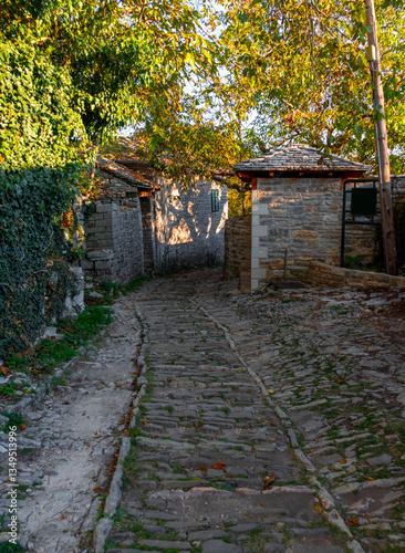 Fototapeta Naklejka Na Ścianę i Meble -  The streets of the tourist village of Monodendri in the mountains of Epirus in Greece