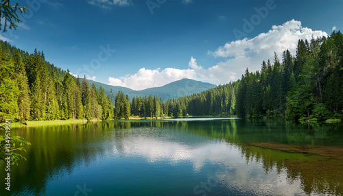 Calm Mountain Lake Amid Verdant Forests