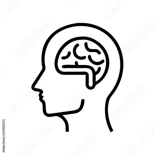 brain