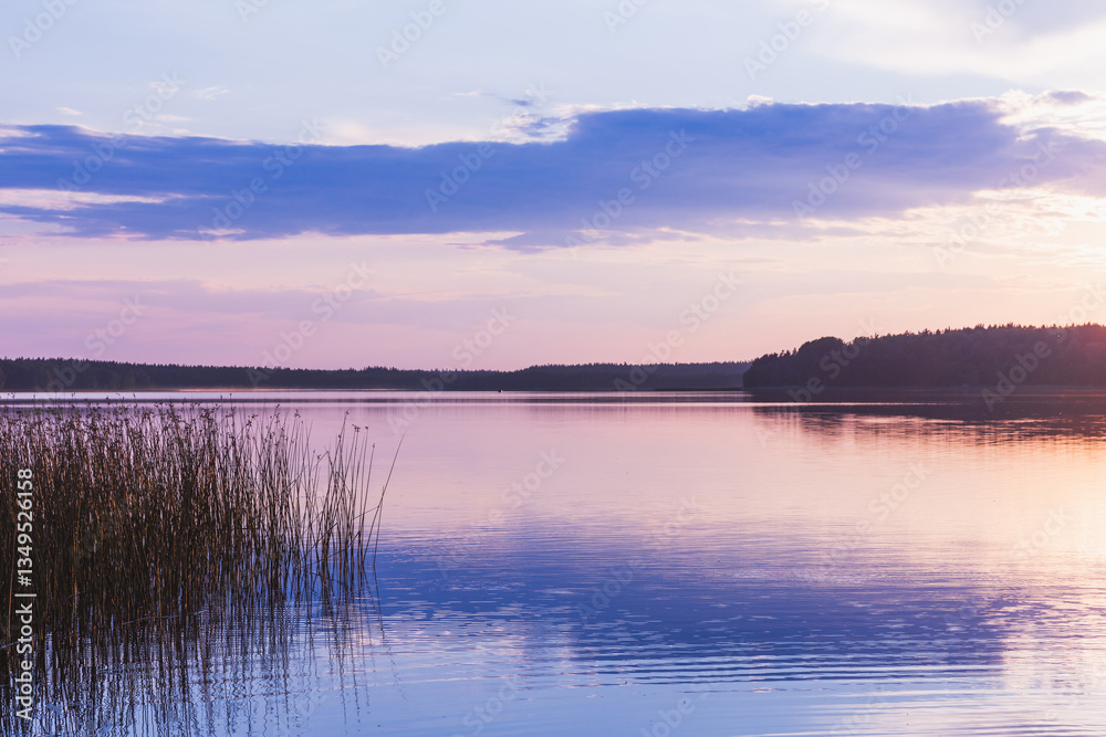 Fototapeta premium Serene view of a calm lake surrounded by reeds at sunset