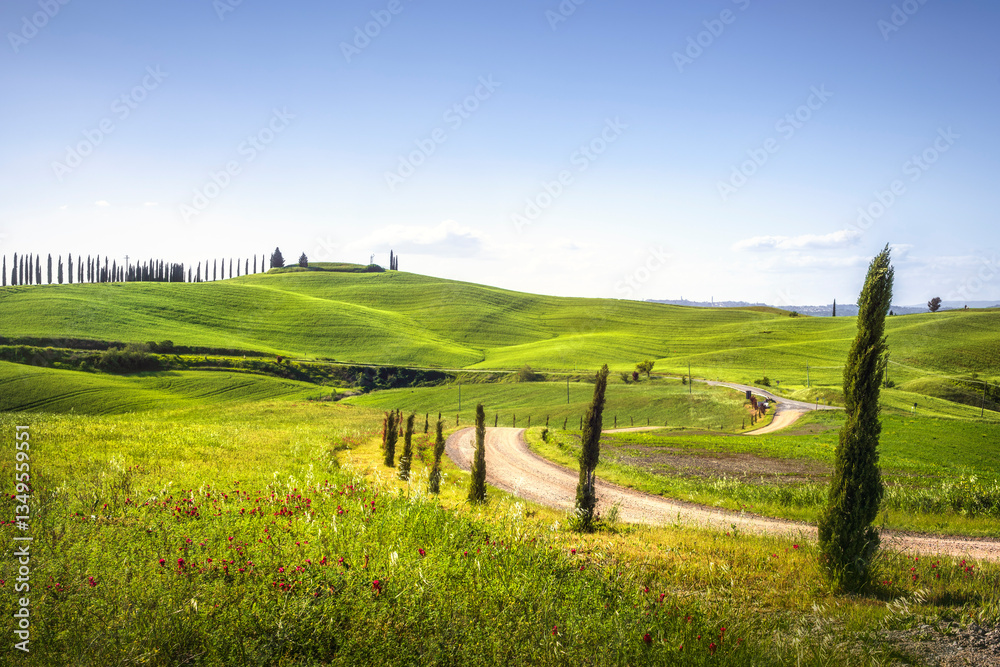 Fototapeta premium Route of the Via Francigena in Monteroni d'Arbia. Tuscany, Italy