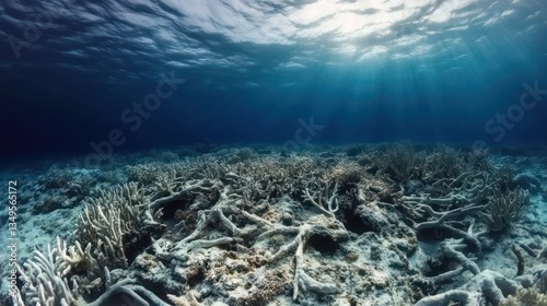 Fototapeta Naklejka Na Ścianę i Meble -  Bleached coral reef underwater scene, ocean sunlight, environmental damage