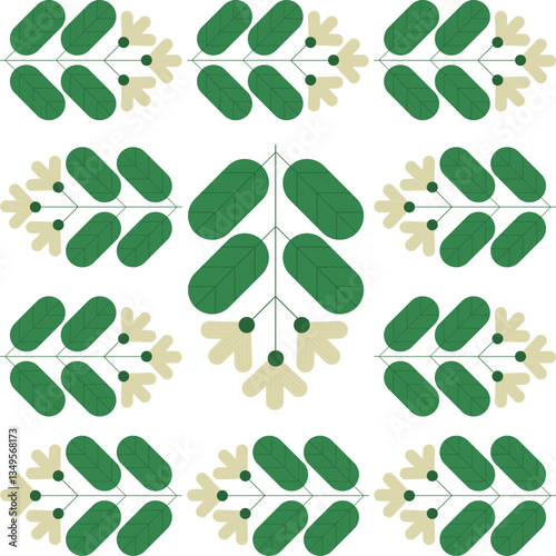 Robinia pseudoacacia vector illustration