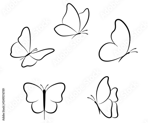 Linear butterfly outline collection hand drawn illustration isolated on white