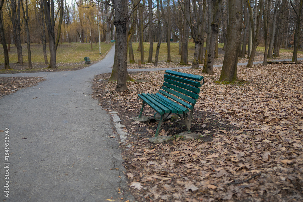 A lone green park bench placed along a walking path covered with autumn leaves. The peaceful setting captures the beauty of fall, with trees shedding their leaves in a quiet park atmosphere