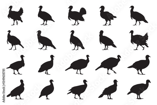 Minimalist Turkey Set Vector Silhouette - Black Silhouettes on White Background for Graphic Design