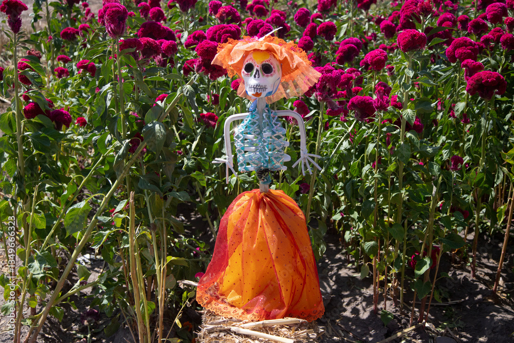 Atlixco, Puebla, Mexico; 1st November 2024: Colorful catrina figures for the Day of the Dead celebration representing characters from Mexican culture. Atlixco, Puebla, Mexico; 1st November 2024: Colorful catrina figures for the Day of the Dead celebration representing characters from Mexican culture.