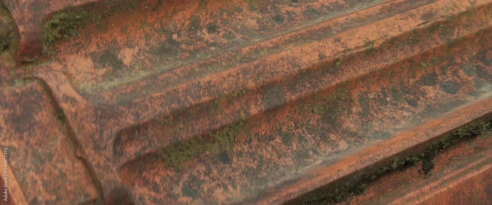 Close-up panning on mossy clay roof tile 4K vide Close-up panning on mossy clay roof tile 4K vide