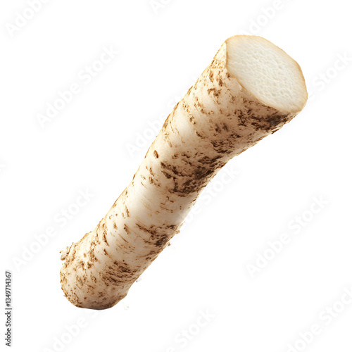 Fresh horseradish root organic vegetable raw unpeeled isolated transparent background