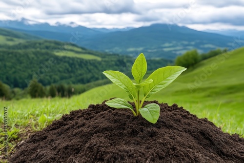 Young sprout growing in fertile soil amidst a scenic mountain landscape photo
