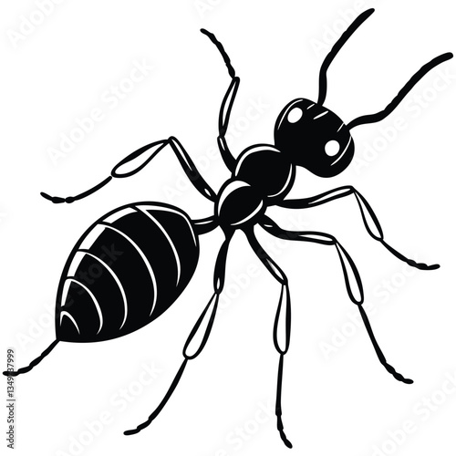Ant isolated on white background