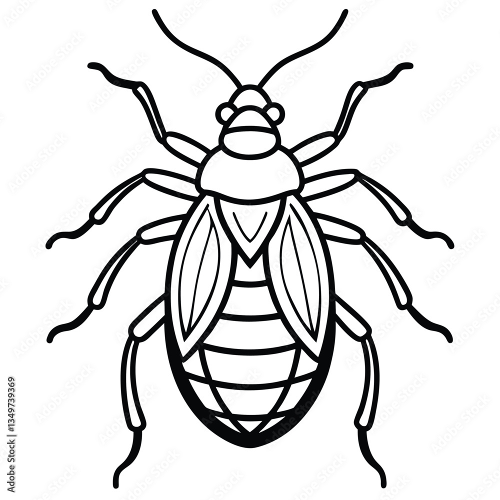 True bugs isolated on white background True bugs isolated on white background