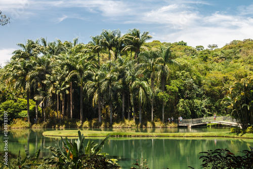Palm trees, the tropical forest and a bridge over the lake, Inhotim, Minas Gerais, Brazil.