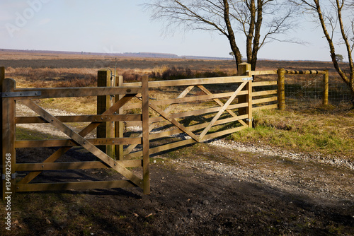 Fotografie Gate and fencing boundary between moorland and forestry land at Newgate bank, No