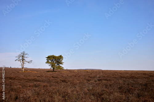 Obraz na plátně Alive and dead