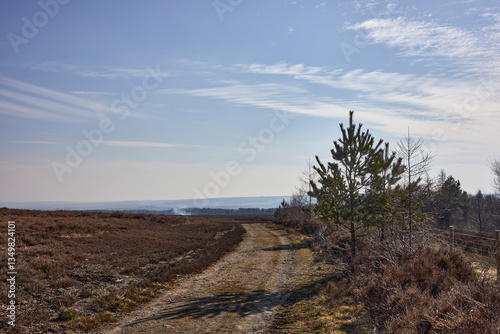 Fototapeta Afternoon and a backlit track by moorland guides a walk at Newgate Bank