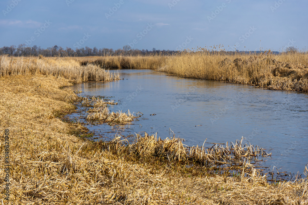 Wiosna w Narwiańskim Parku Narodowym, Podlasie, Polska