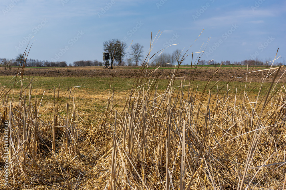Wiosna w Narwiańskim Parku Narodowym, Podlasie, Polska