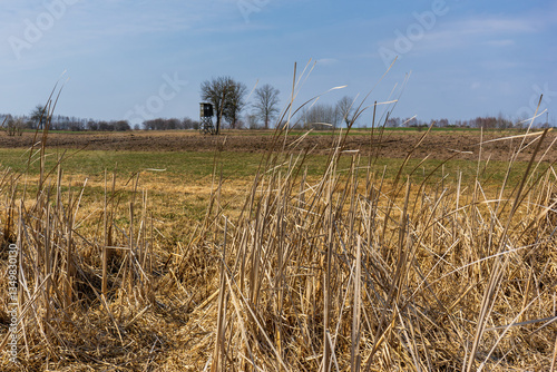 Obraz na płótnie Wiosna w Narwiańskim Parku Narodowym, Podlasie, Polska w salonie