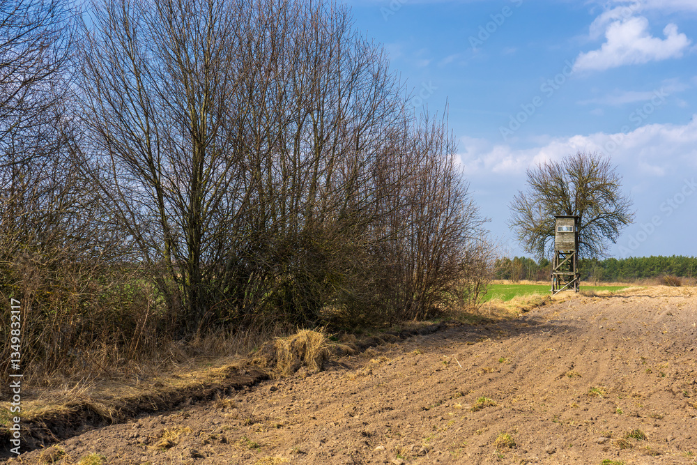 Wiosna w Narwiańskim Parku Narodowym, Podlasie, Polska