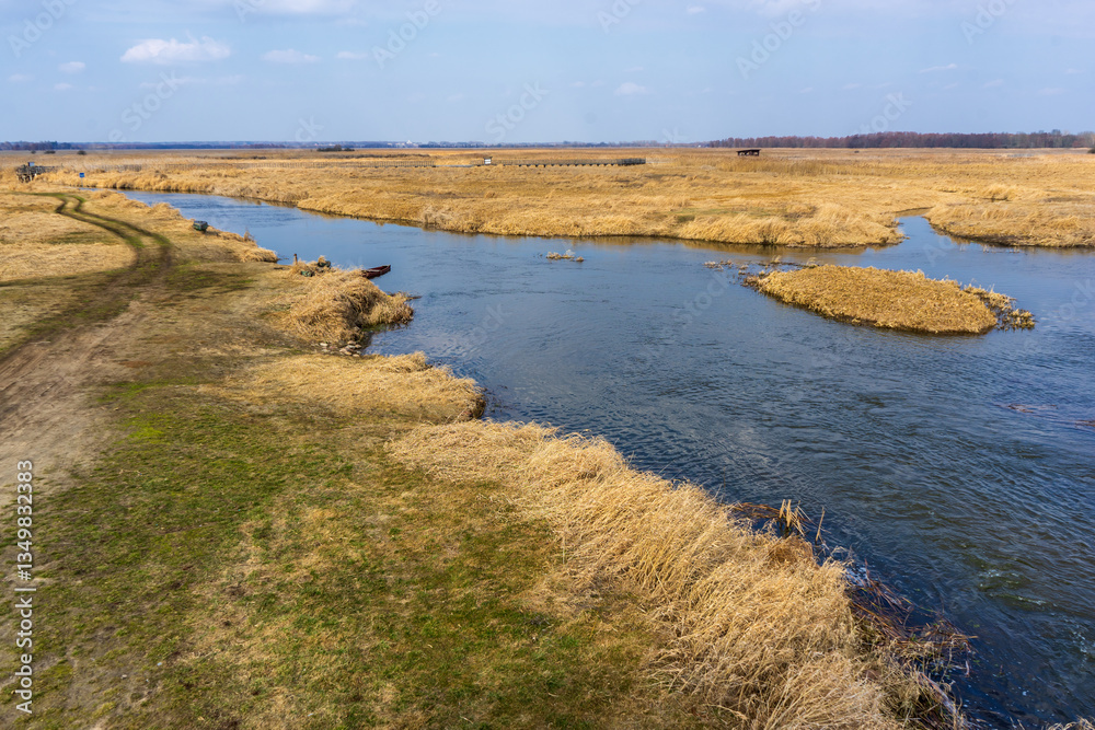 Wiosna w Narwiańskim Parku Narodowym, Podlasie, Polska