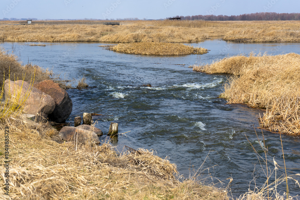 Wiosna w Narwiańskim Parku Narodowym, Podlasie, Polska
