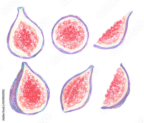Set collection of appetizing sweet ripe purple violet figs fruits isolated on white background.Different shaped, slices, whole