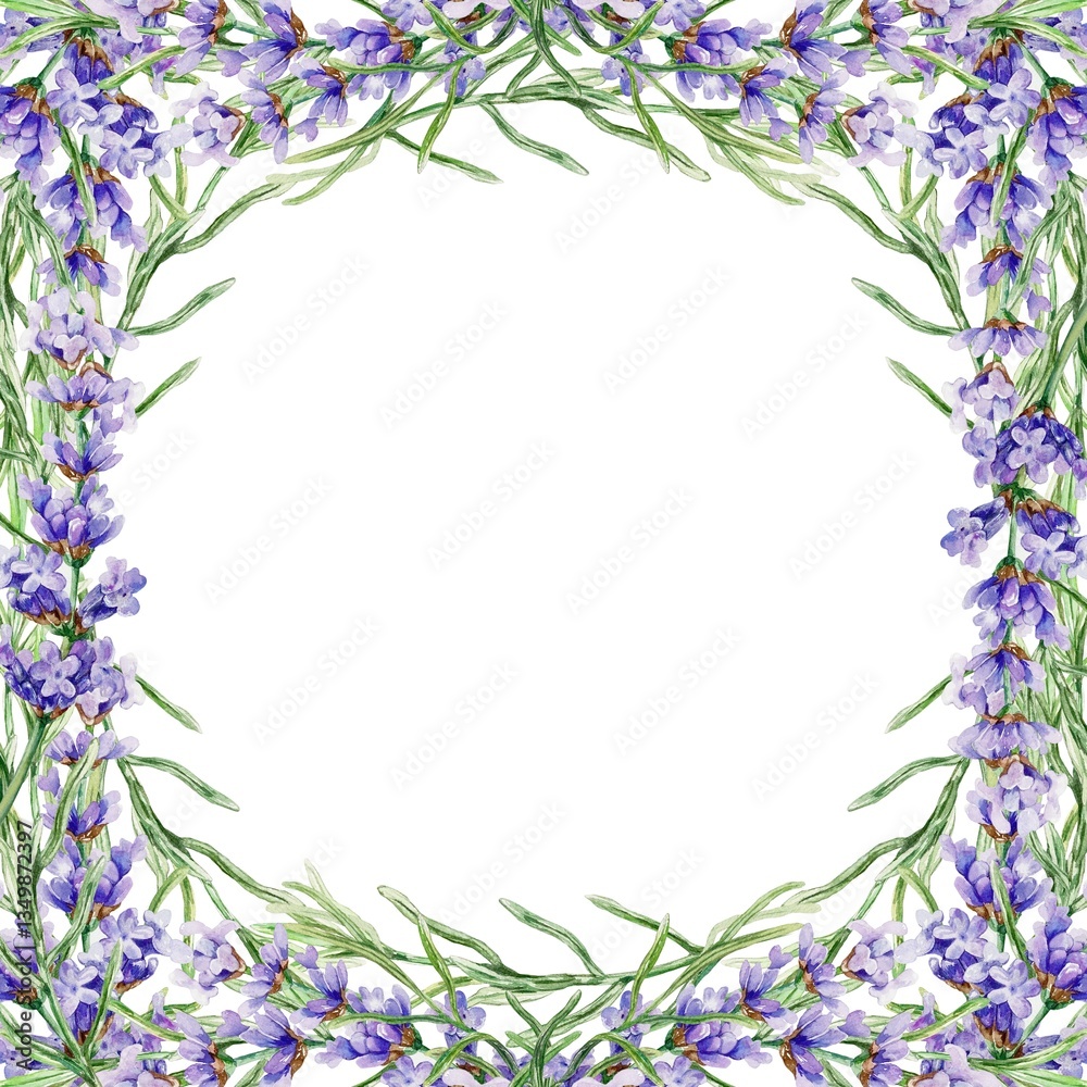 Lavender frame square. With sprigs of flowers on the sides. Hand drawn watercolor illustration isolated on white. For greeting cards, wedding invitations, labels, posters. Lavender frame square. With sprigs of flowers on the sides. Hand drawn watercolor illustration isolated on white. For greeting cards, wedding invitations, labels, posters.