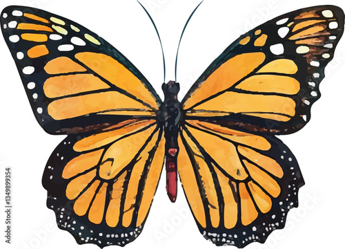 Colorful Butterfly Design